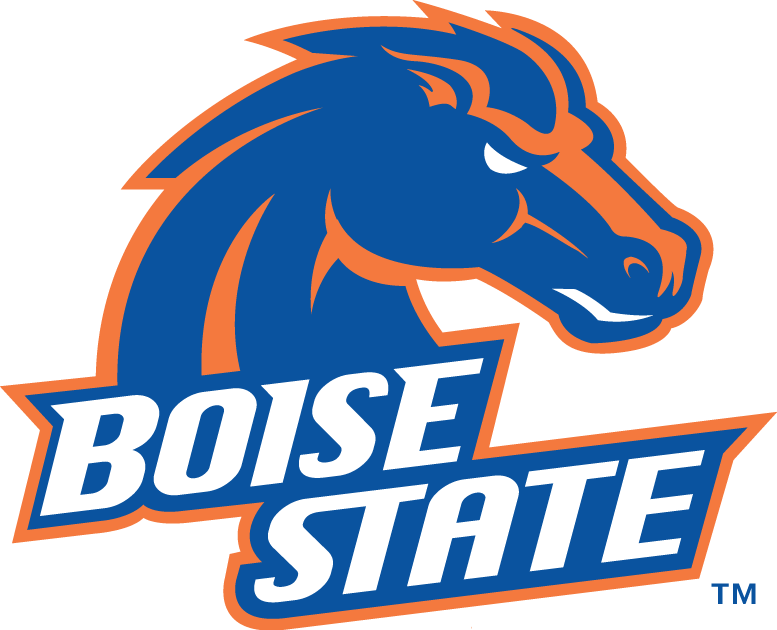 Boise State Broncos 2002-2012 Primary Logo diy DTF decal sticker